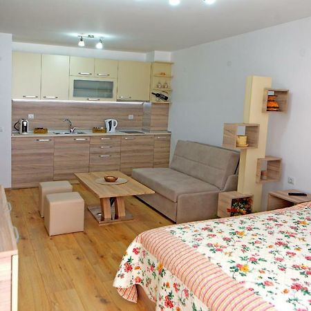 Studio Top City Center Sandanski Esterno foto